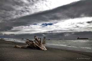 Driftwood on Lost Coast-7108.jpg Driftwood on Lost Coast-7108.jpg